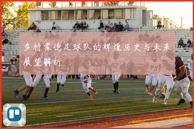 多特蒙德足球队的辉煌历史与未来展望解析