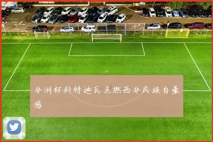 非洲杯科特迪瓦点燃西非民族自豪感