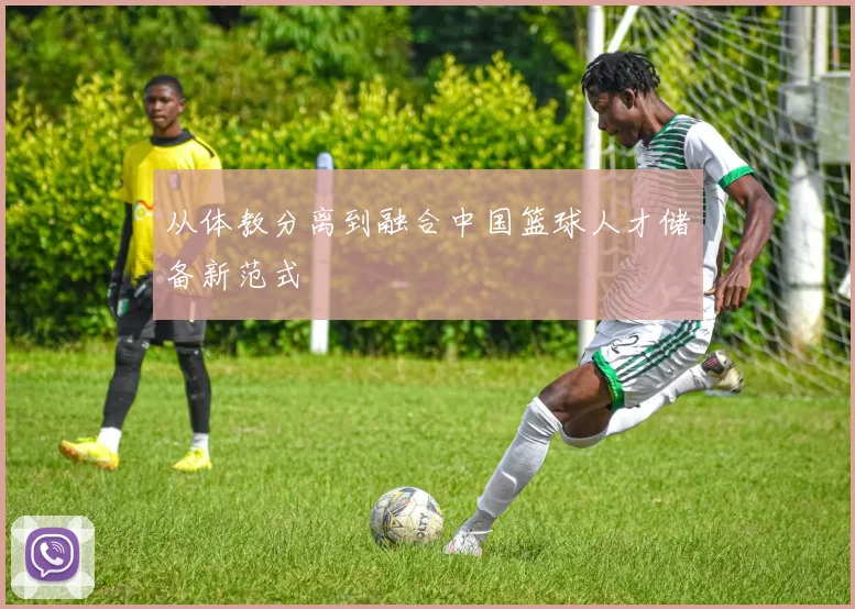 从体教分离到融合中国篮球人才储备新范式